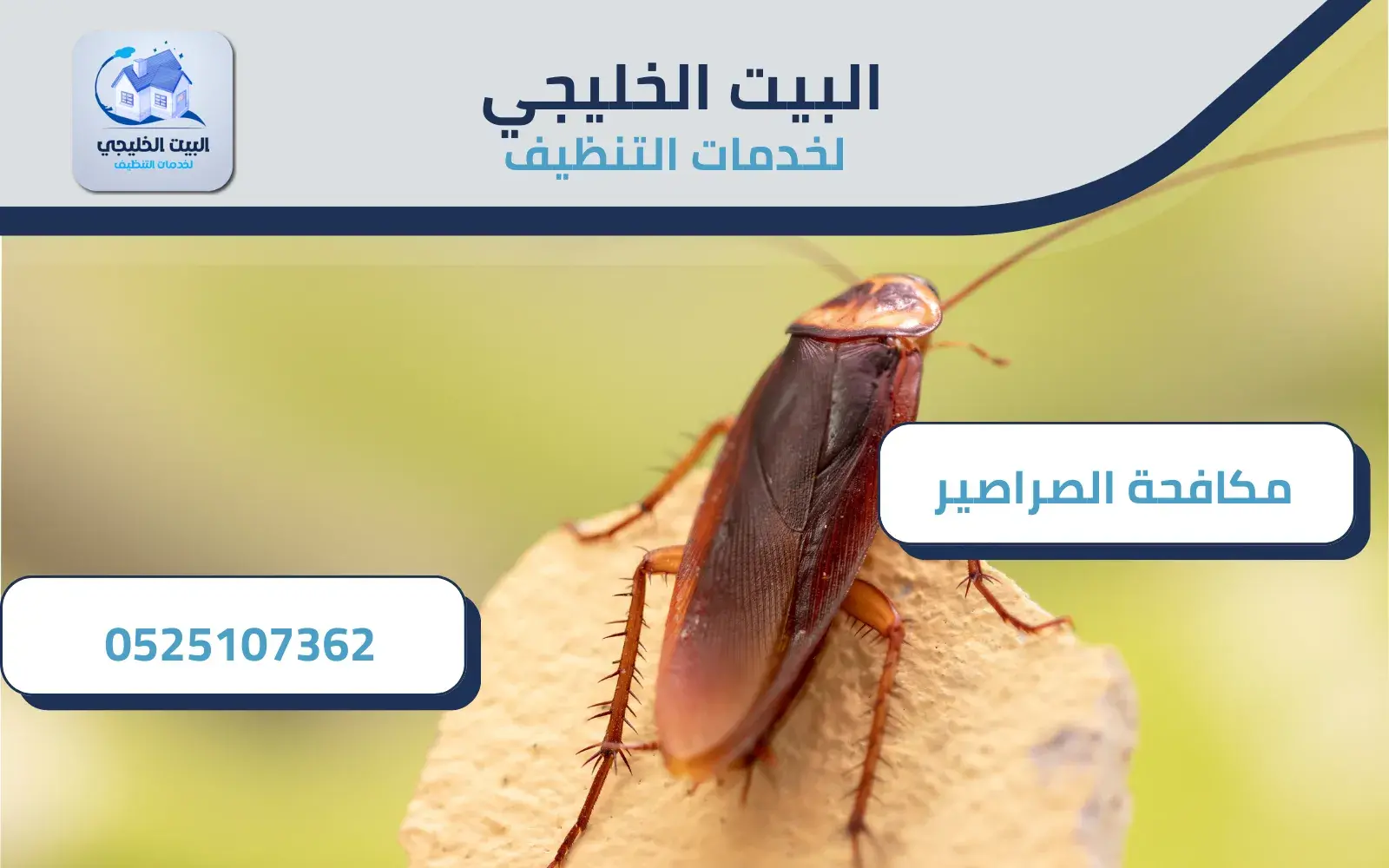 أفضل شركة مكافحة صراصير 