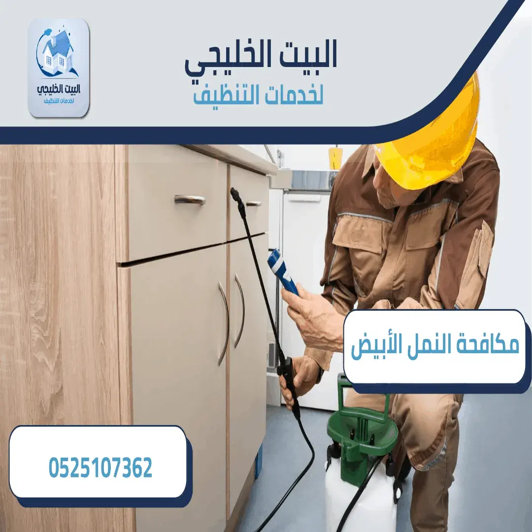 مكافحة النمل الأبيض في أبو ظبي