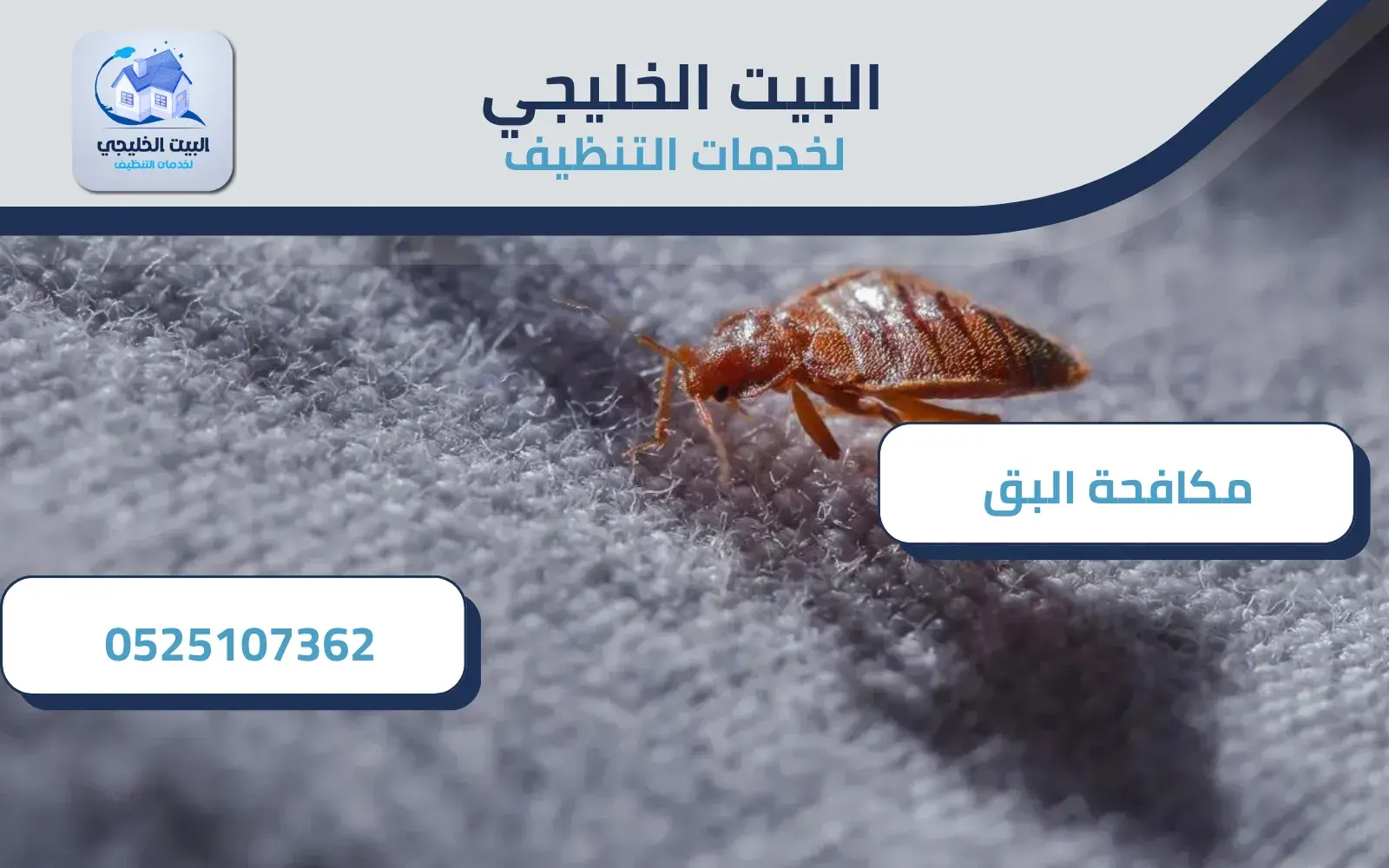 شركة مكافحة بق الفراش في العين