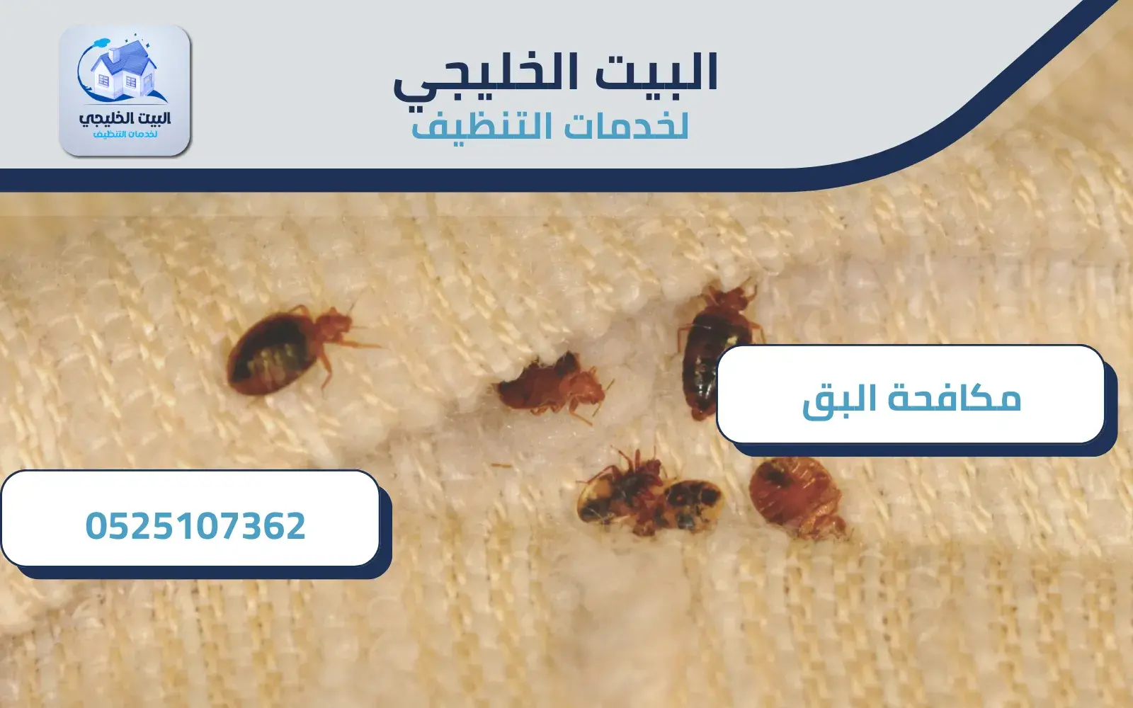 أرخص شركة مكافحة بق الفراش في العين