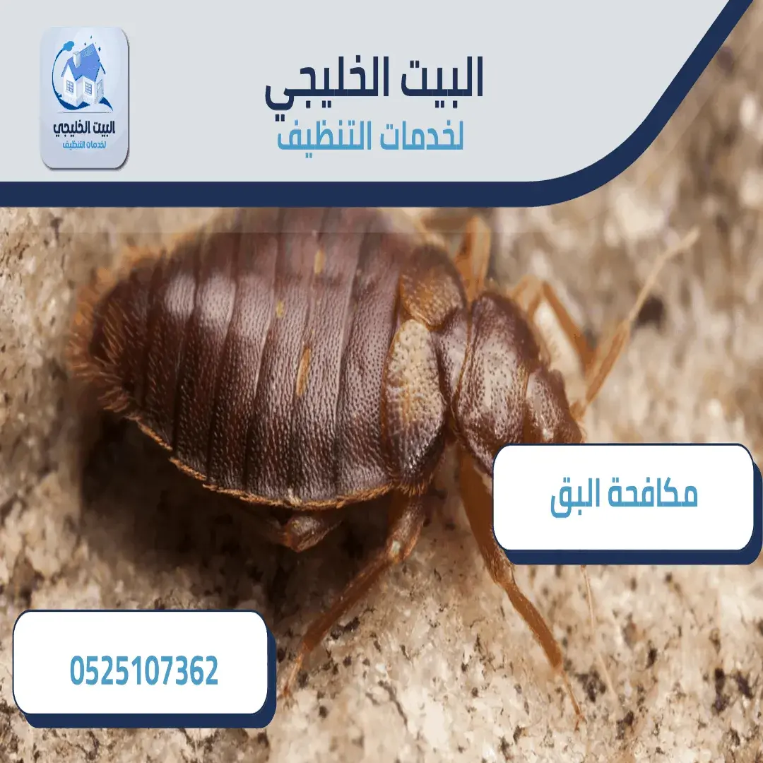 شركة مكافحة بق الفراش في العين