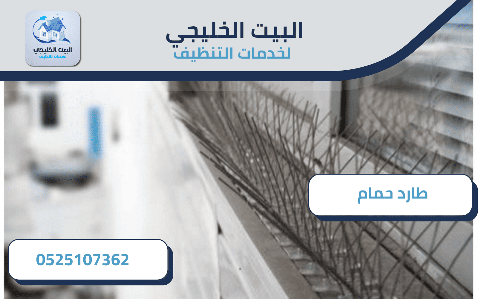 خدمات شركة تركيب طارد الحمام في أبوظبي