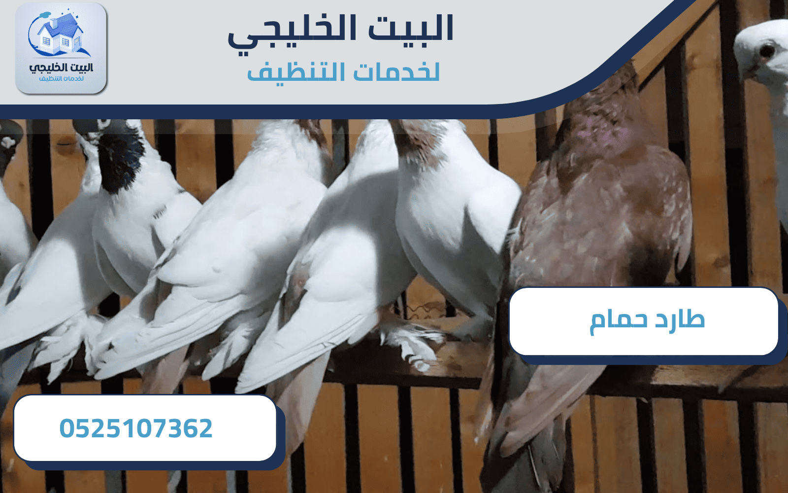 خدمات شركة تركيب طارد حمام في العين